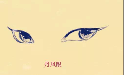 到底什么样的眼睛最迷人