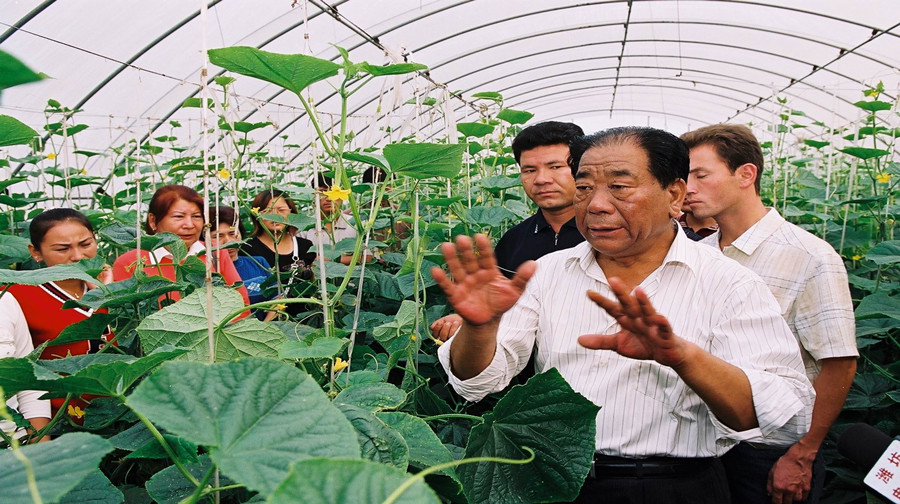 最美奋斗者王乐义农民致富的领路人