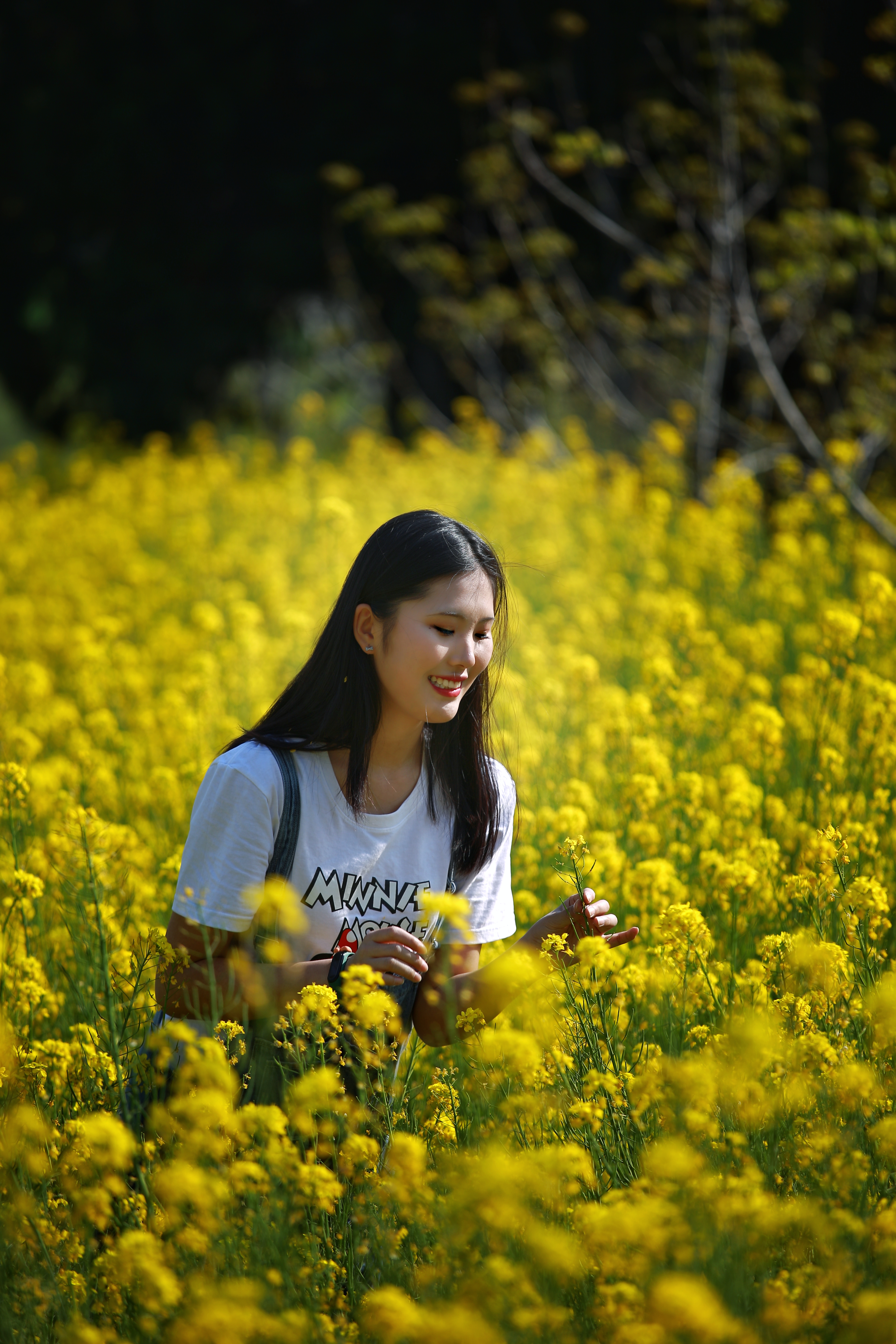 宫视界2020:最美四月天 油菜花开放