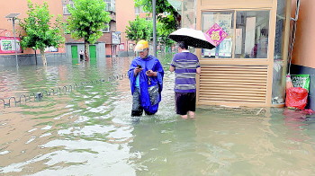 �DƬ���dʧ��