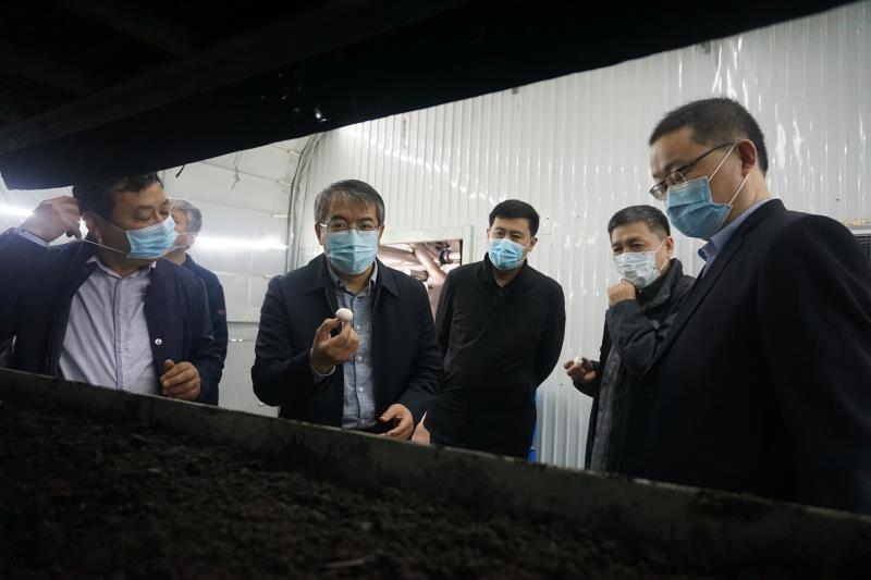 县委书记办公会开到乡村振兴服务队共谋乡村振兴武城模式