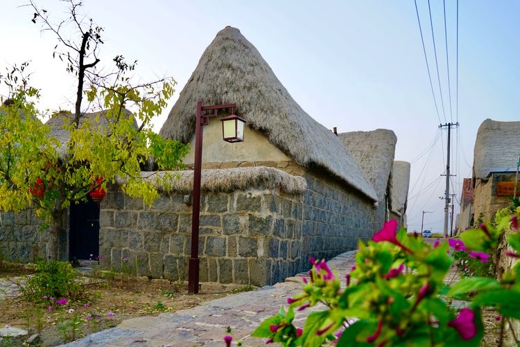 遍地生态海草房最美渔村荣成东楮岛村