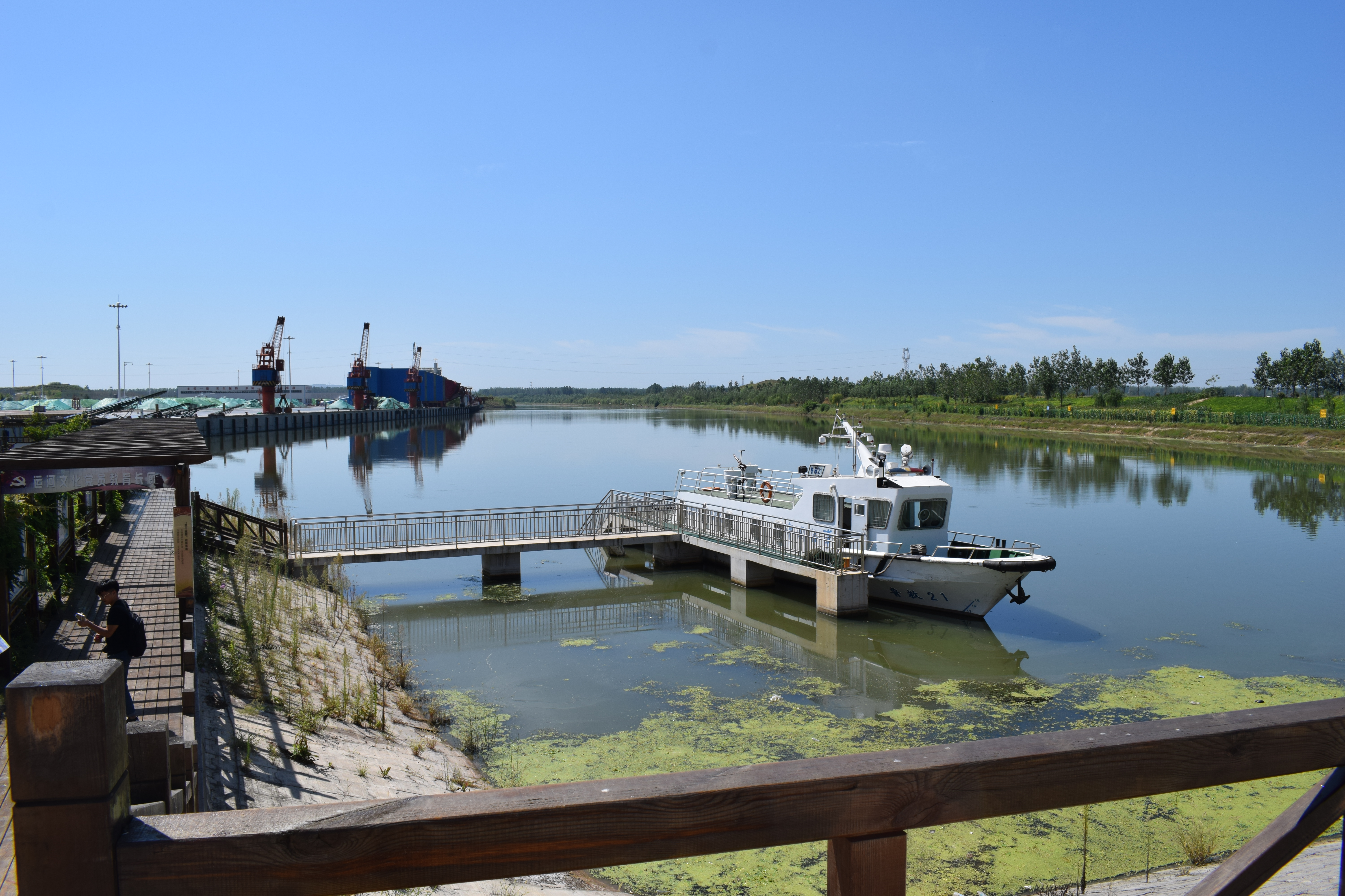 京杭大运河山东段古河焕发新生机