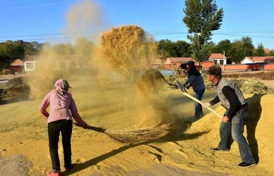 生产队已解散三十多年了哪还有场园