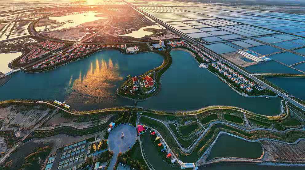 美哭航拍东营红草地毯如同油画般美丽