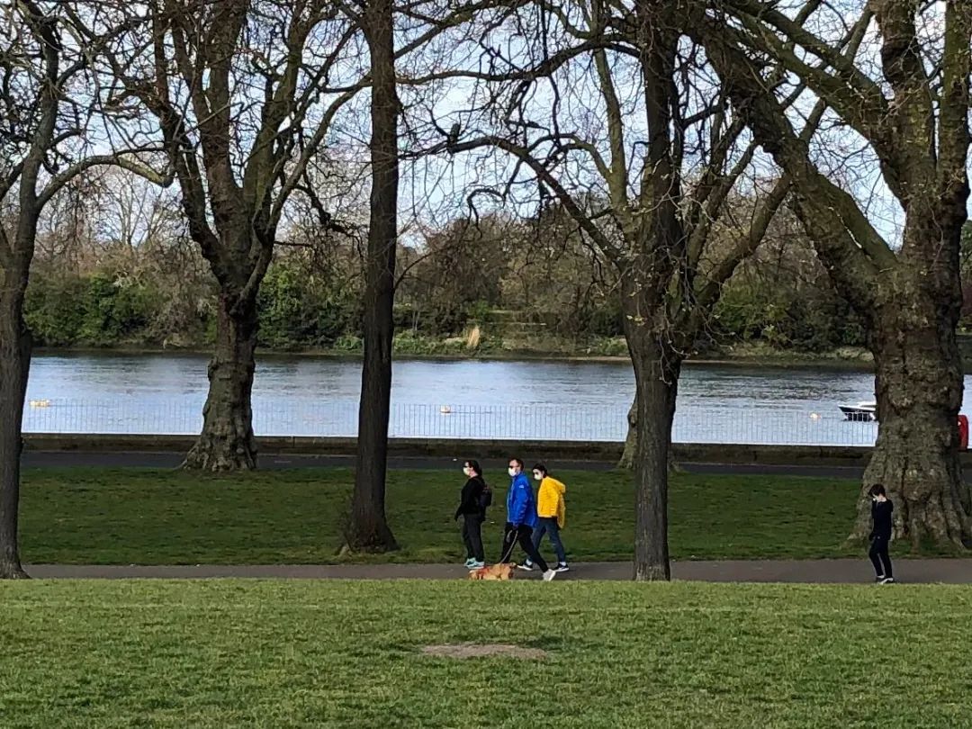 [齐鲁壹点·海报新闻]伦敦疫情日记：首相约翰逊为口罩“正名”了