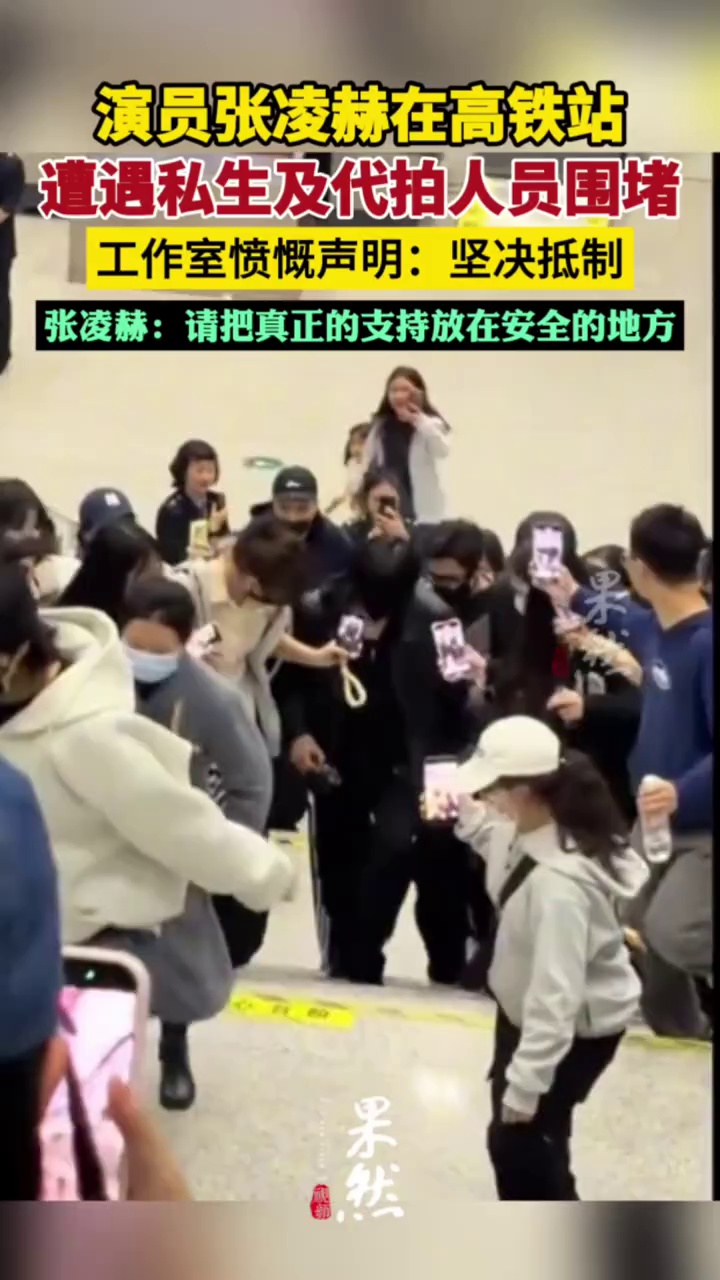 张凌赫在高铁站遭遇围堵