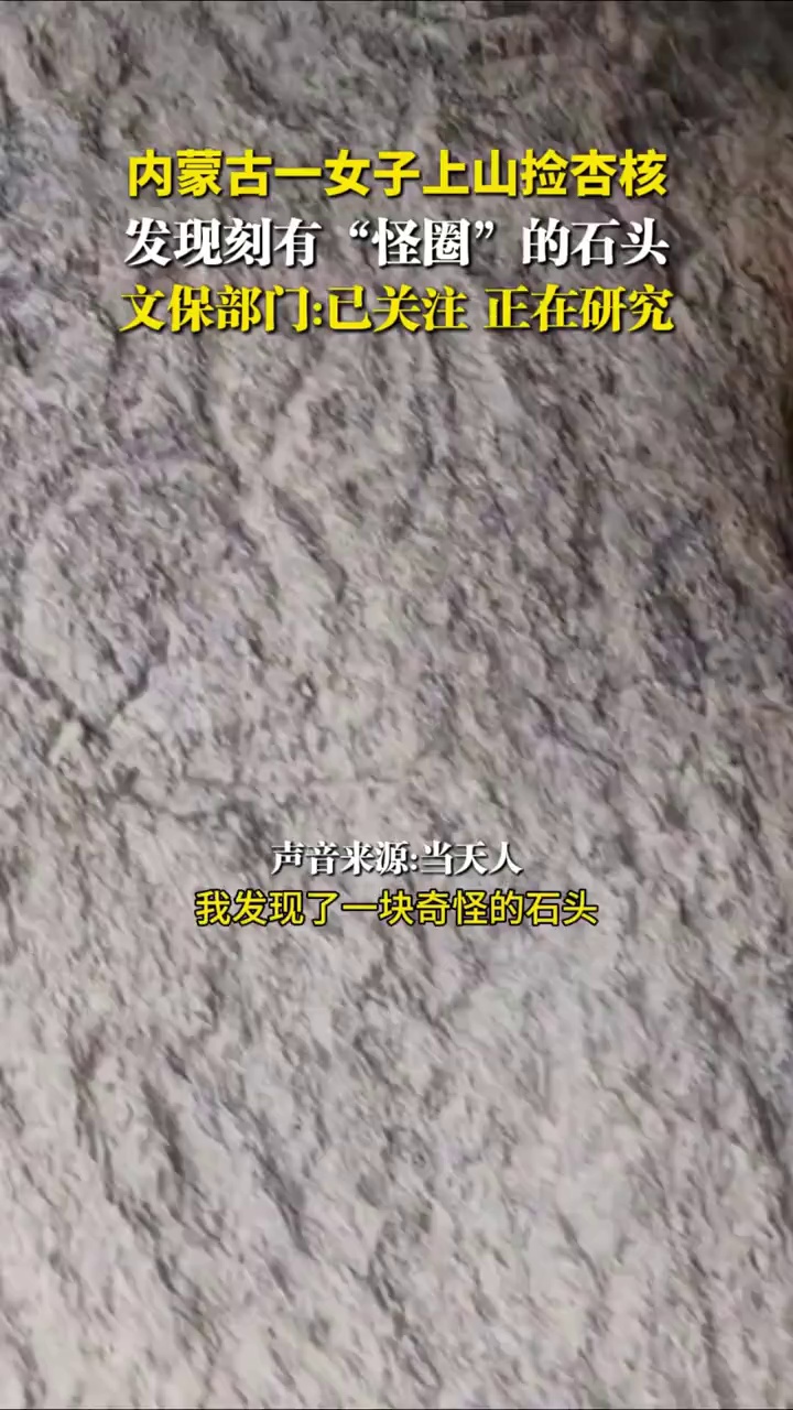 内蒙古一女子上山捡杏核，发现刻有“怪圈”的石头，文保部门：已关注，正在研究