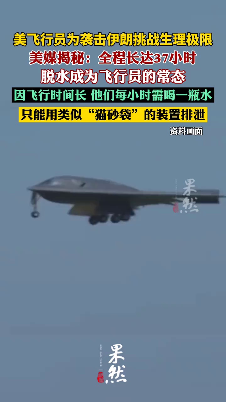 美飞行员为袭击伊朗挑战生理极限（央视网）