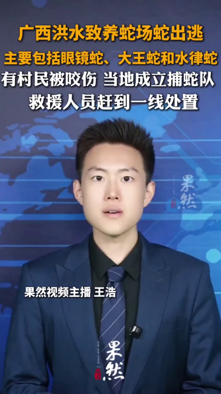 洪水还没退，广西横州市又传来了让人揪心的消息——云表镇邓圩村，一个养蛇场被洪水冲垮了，大量蛇类跑了出来。
