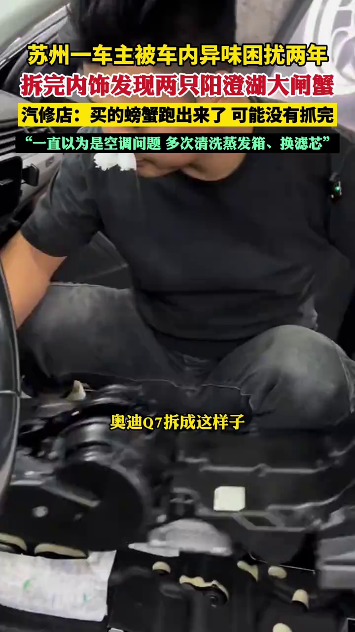 苏州一车主被车内异味困扰两年，汽修店拆完内饰发现“罪魁祸首”竟是两只阳澄湖大闸蟹