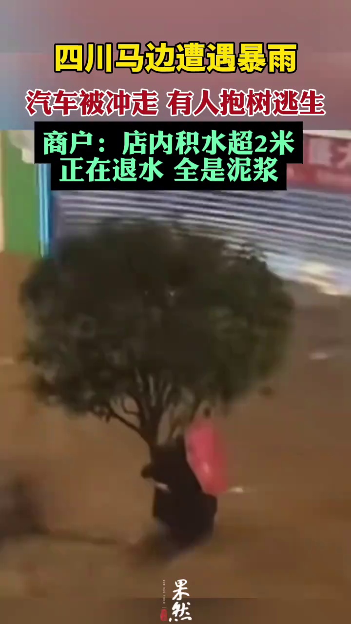 四川马边遭遇暴雨，汽车被冲走，有人抱树逃生。