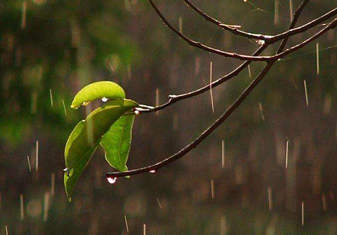 枣庄5月23日炎热 小雨转多云 西南风3-4级