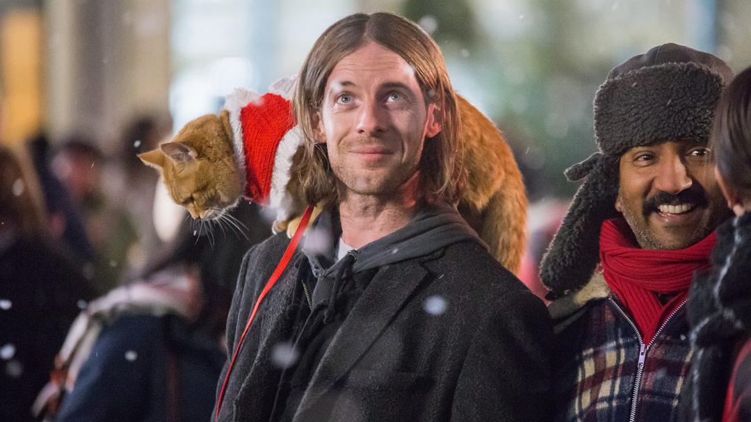 经典电影鲍勃的圣诞礼物