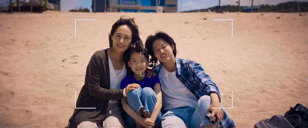 经典电影常春藤