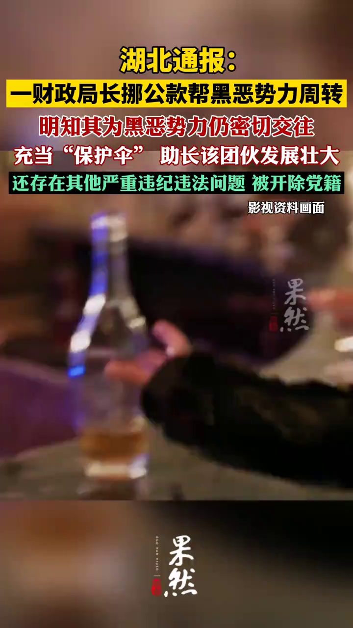 湖北通报：一财政局长挪公款帮黑恶势力周转