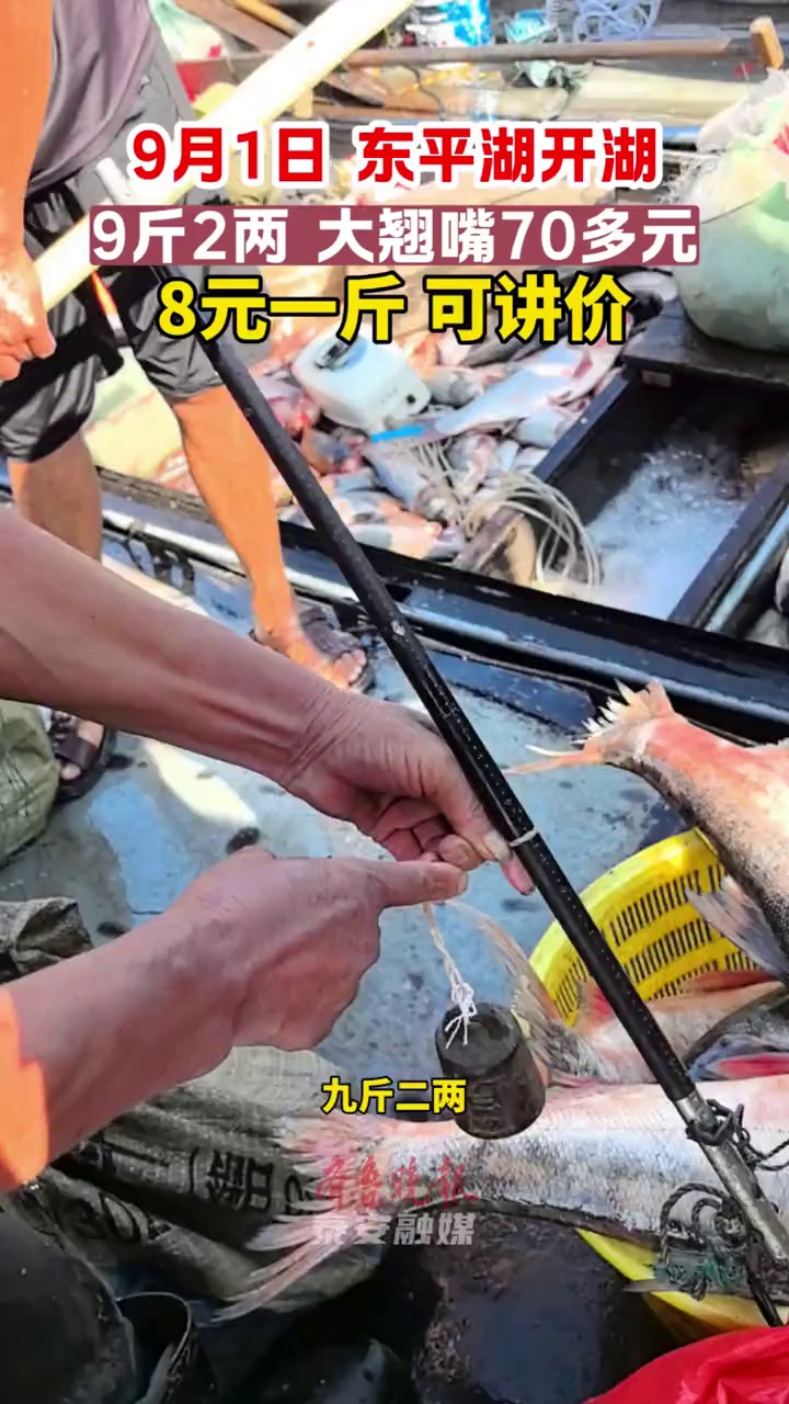 东平湖开湖，9斤2两的大翘嘴，8元一斤还能讲价 
   9月1日，东平湖开湖，在老湖镇码头，9斤2两的大翘嘴卖8元一斤。