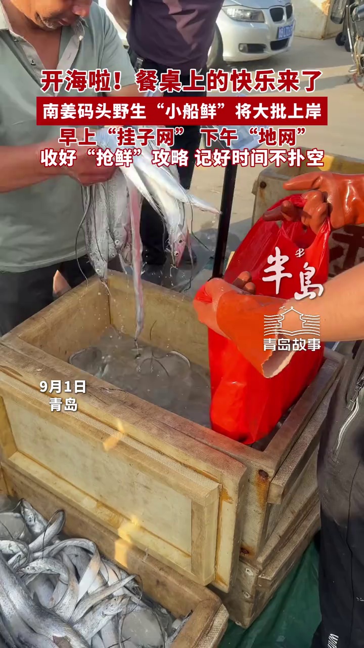 开海啦！餐桌上的快乐来了，南姜码头野生“小船鲜”将大批上岸