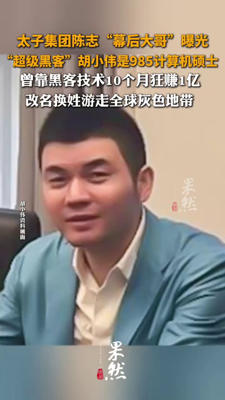 太子集团陈志“幕后大哥”曝光，“超级黑客”胡小伟是985计算机硕士，曾靠黑客技术10个月狂赚1亿，改名换姓游走全球灰色地带