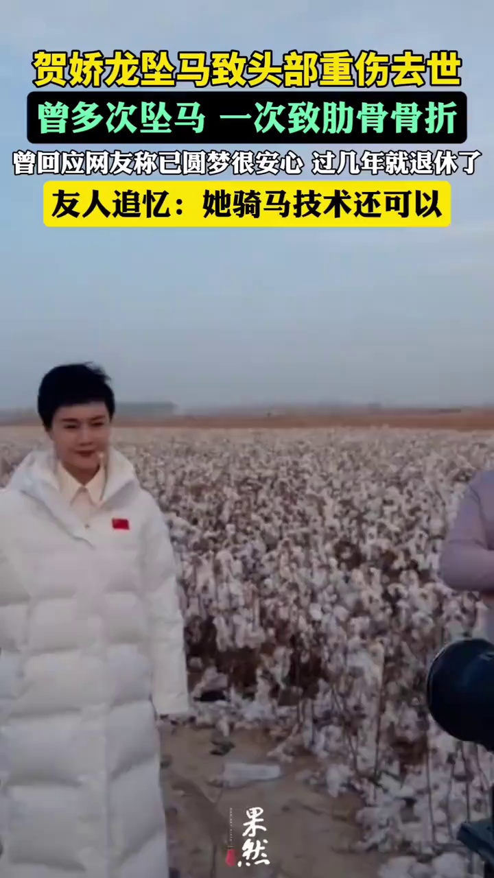 2026年1月1日，贺娇龙曾回应网友称已圆梦很安心，过几年就退休了