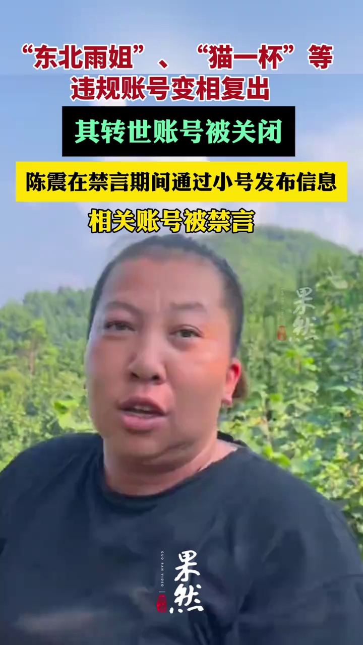 “东北雨姐”、“猫一杯”等违规账号变相复出，其转世账号被关闭