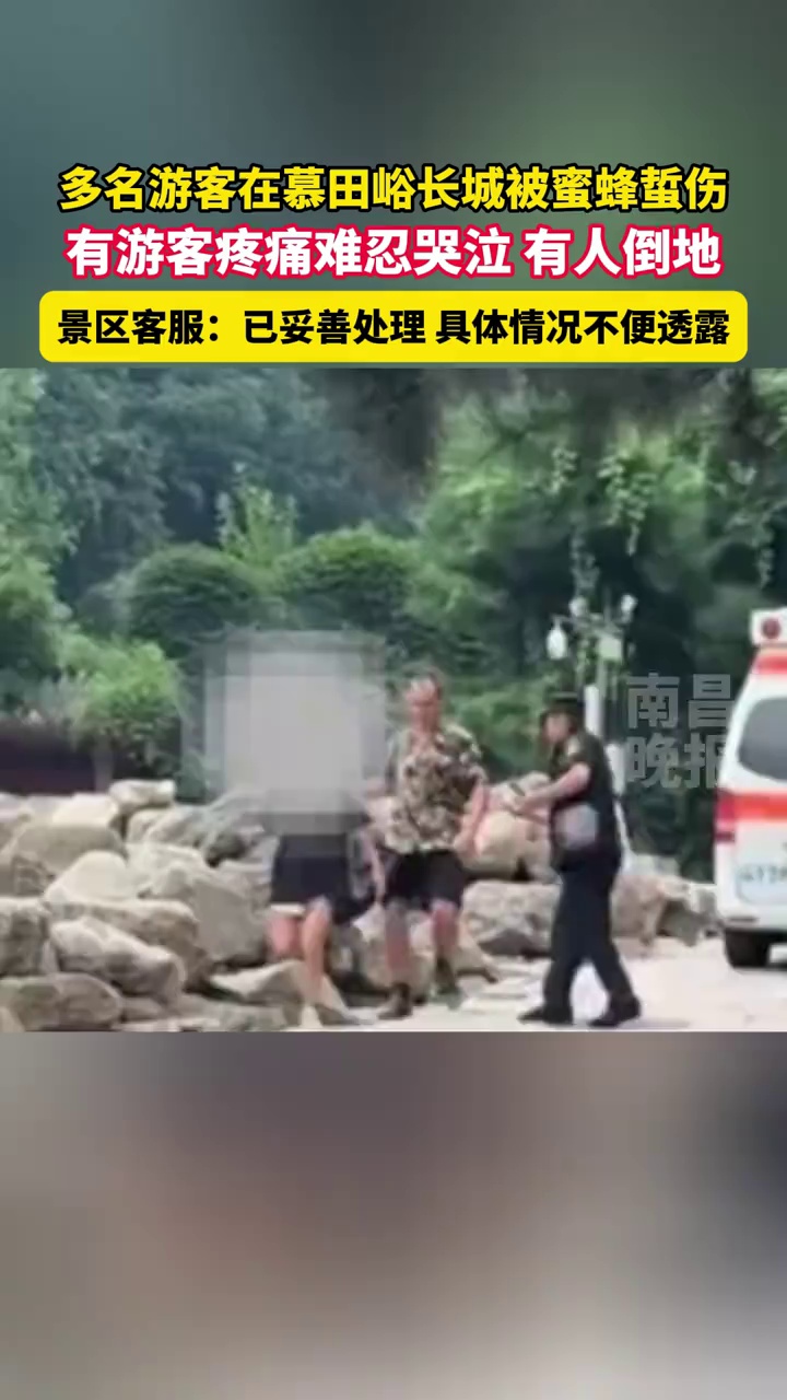 多名游客在慕田峪长城被蜜蜂蜇伤，有游客疼痛难忍哭泣，有人倒地