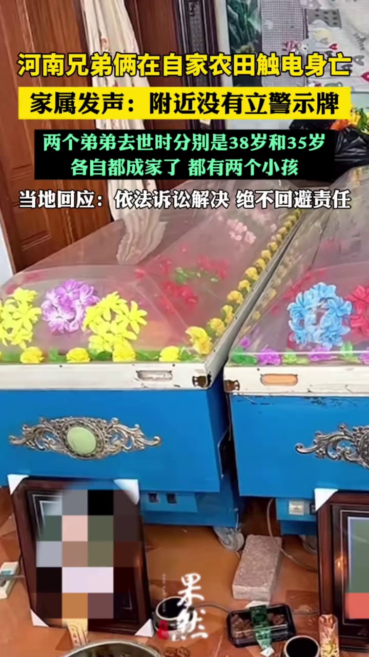 河南兄弟俩在自家农田触电身亡（潇湘晨报）