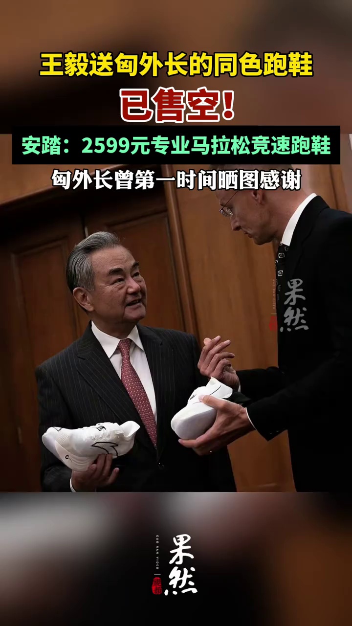 王毅送匈外长的同色跑鞋已售空。（极目新闻）