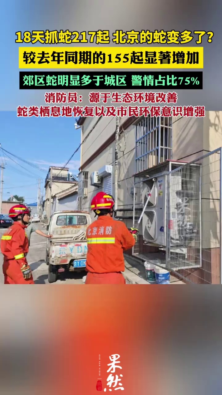 北京18天抓蛇217起，北京这个夏天蛇变多了吗（北京日报）