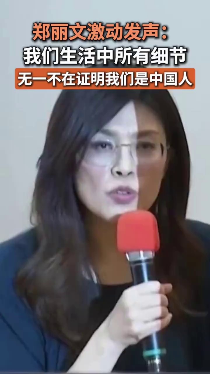 郑丽文激动发声：我们生活中所有细节，无一不在证明我们是中国人