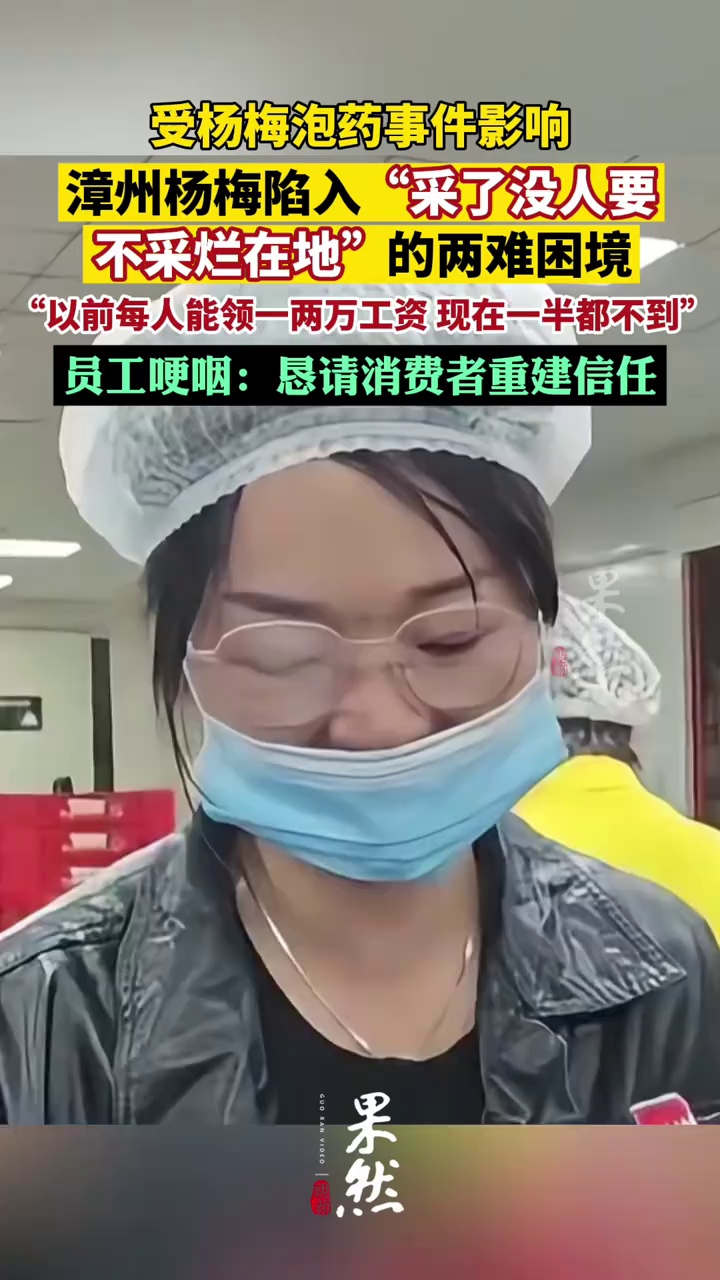 受杨梅泡药事件影响，漳州杨梅采了没人要不采烂在地，员工哽咽：恳请消费者重建信任