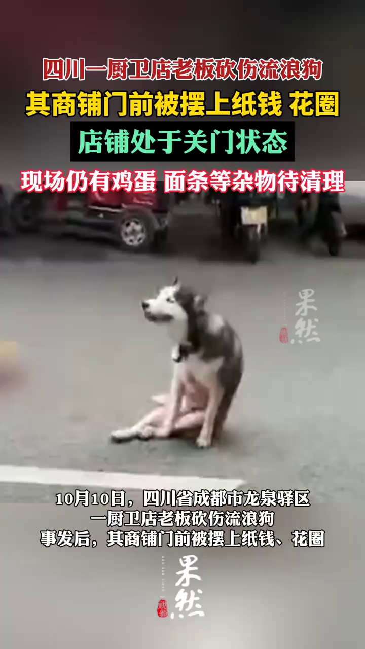砍伤流浪狗老板店铺被送花圈纸钱（百姓关注）