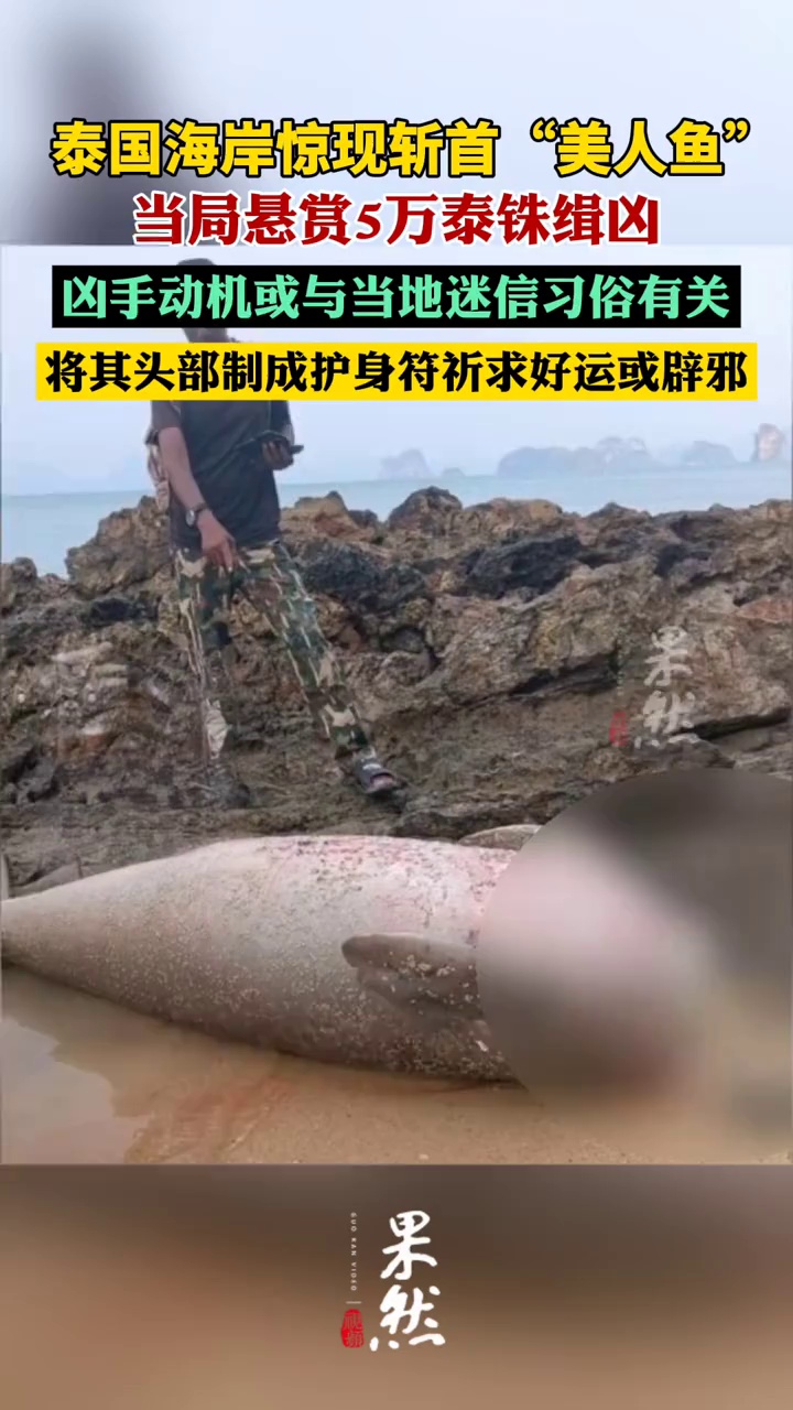 泰国海岸惊现被斩首“美人鱼”