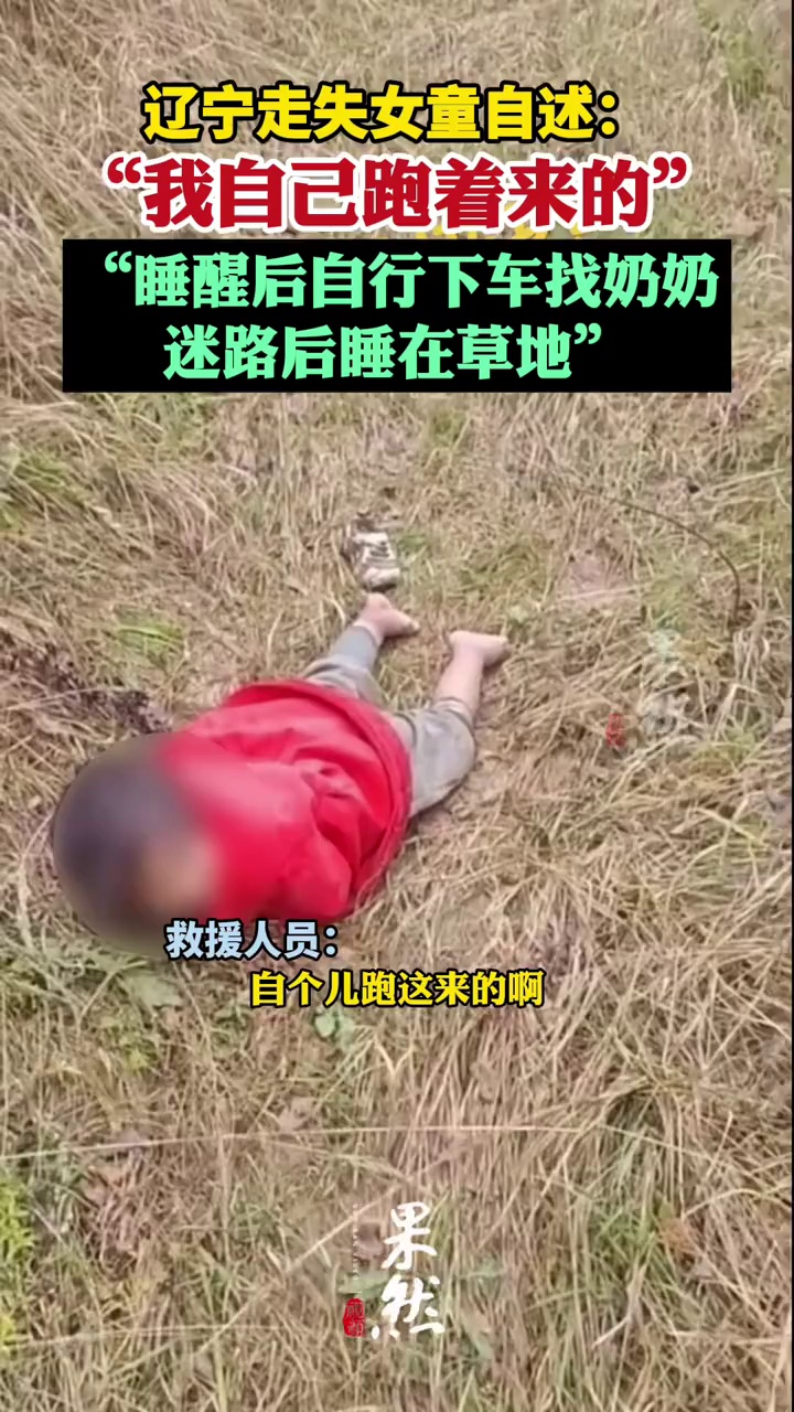 辽宁走失女童自述：迷路后睡在草地，期间无人接触 公安机关：正进一步调查核实