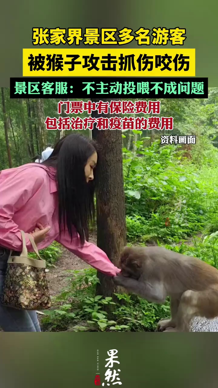 张家界景区多名游客被猴子抓伤？客服回应：不要投喂，门票含保险费用（上游新闻）