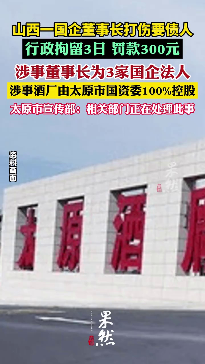 打人董事长为3家国企法人