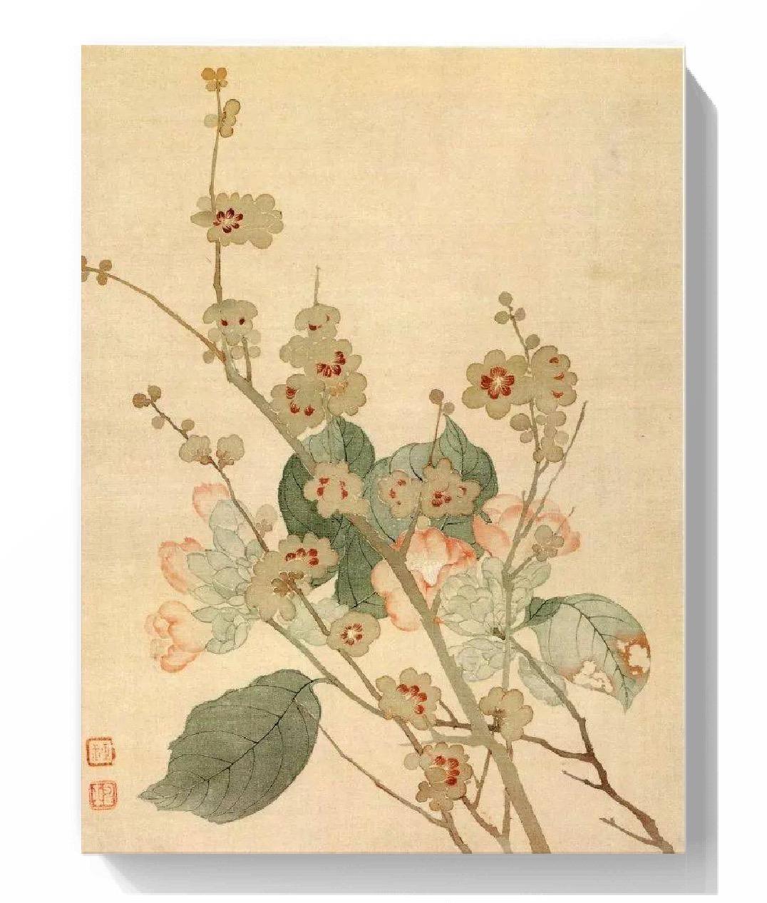 明丽简洁天趣盎然恽寿平花鸟画欣赏