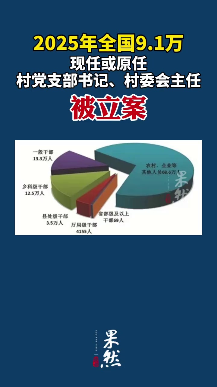 2025年全国9.1万现任或原任村党支部书记、村委会主任被立案