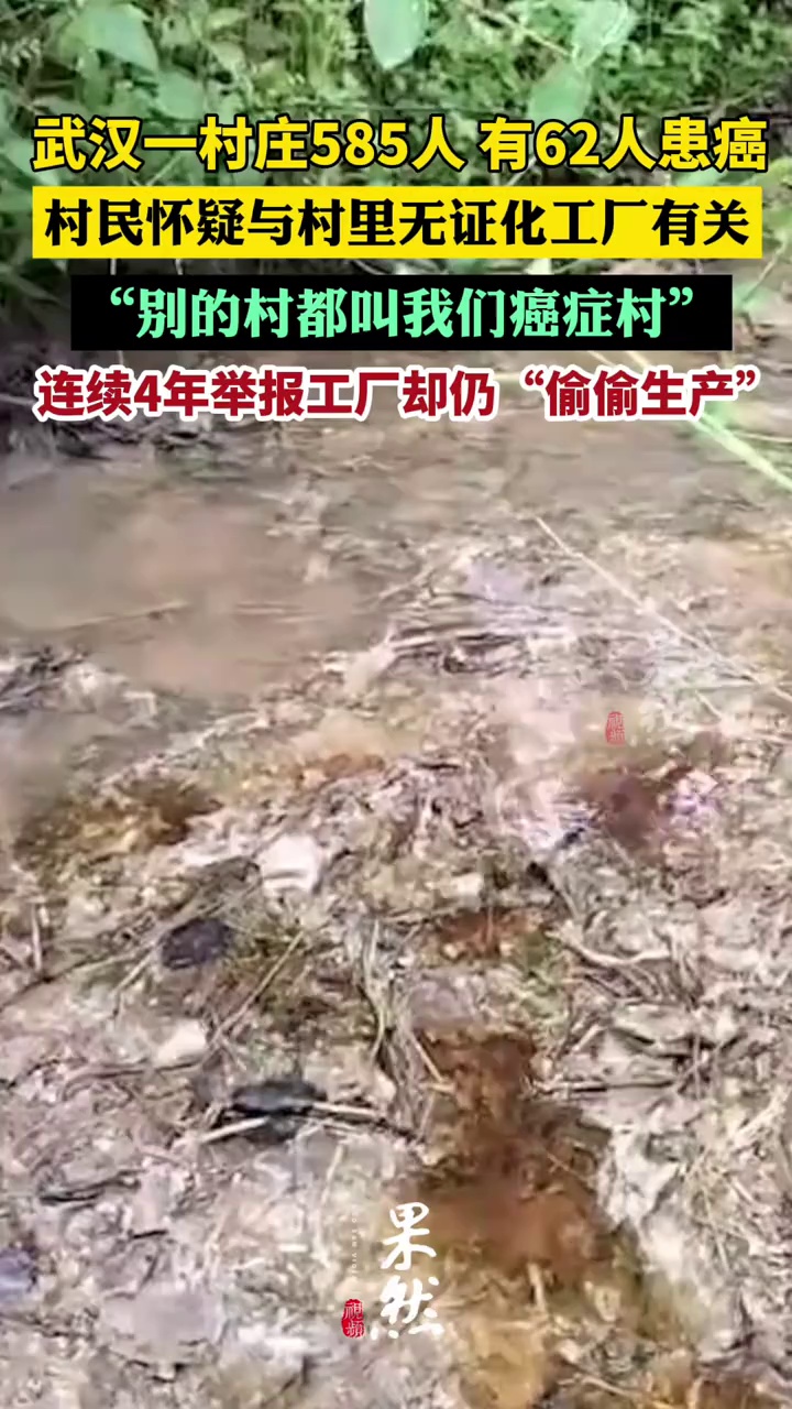湖北一村62人先后罹患癌症和白血病，村民怀疑与村里工厂有关，称连续4年举报工厂却仍“偷偷生产”，区生态环境分局拒绝政府信息公开