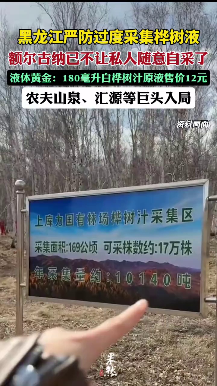 黑龙江省林业和草原局数据显示，该省白桦树面积达1000余万公顷（折算纯林约460万公顷），白桦树汁年可采量约580万吨，资源储备丰富。（每日经济新闻）