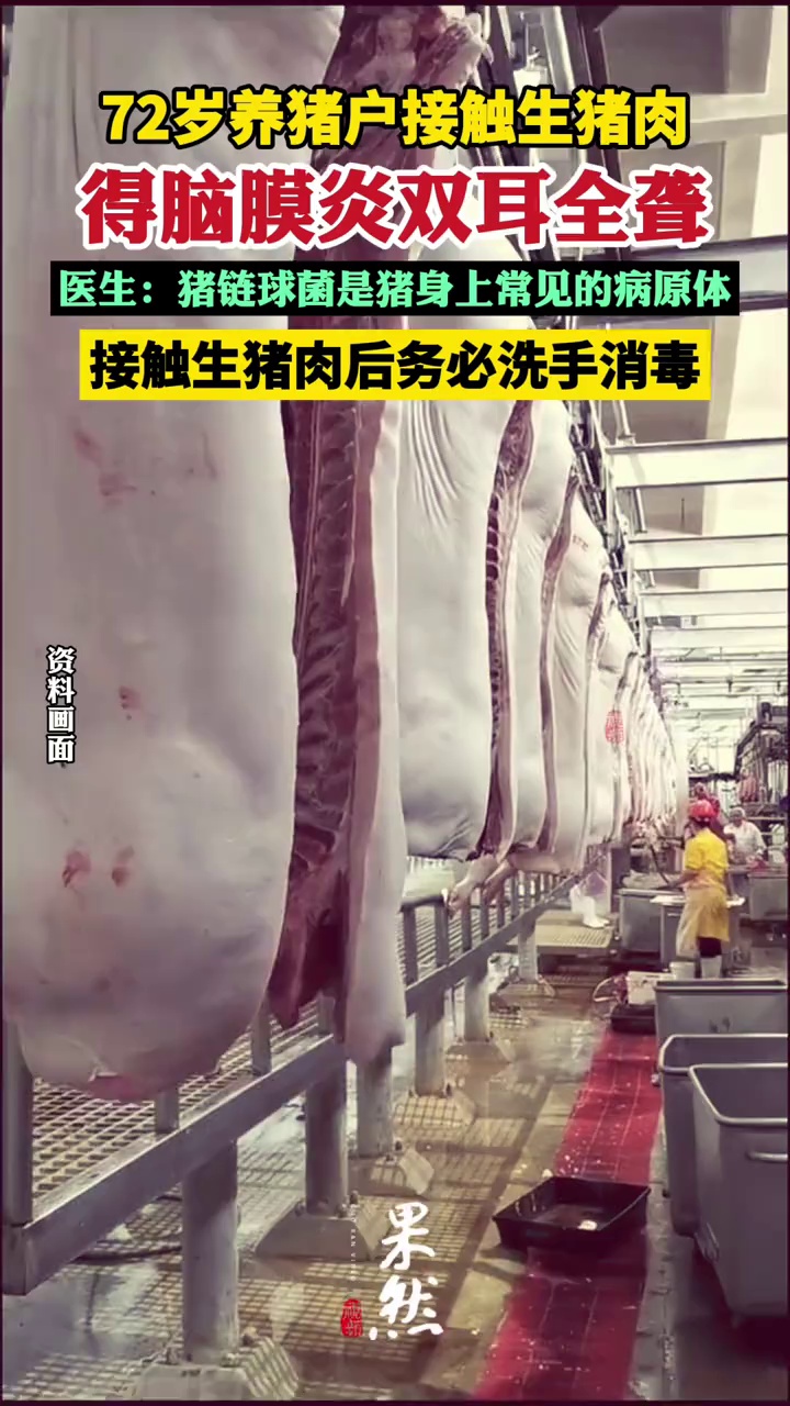 老人接触生猪肉得脑膜炎双耳全聋，医生：接触后务必洗手消毒（DV现场）