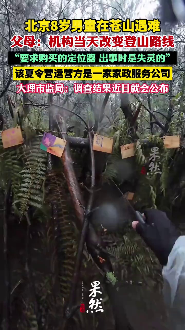 8岁男童在苍山遇难 男童父母：机构当天改变登山路线（中国新闻周刊）