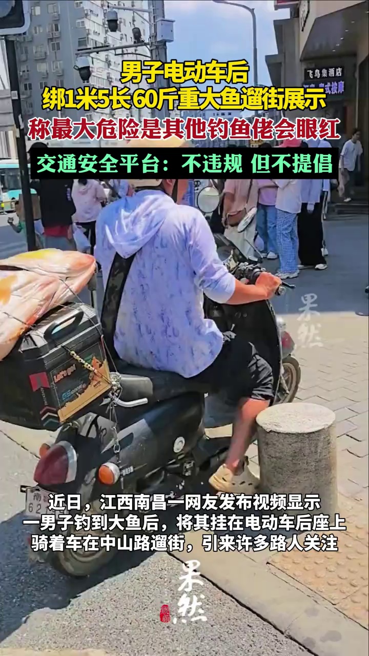 男子电动车后绑1米5长、60斤重大鱼遛街展示，交通安全平台：不违规，但不提倡（九派新闻）