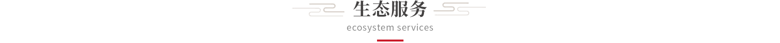 生态服务