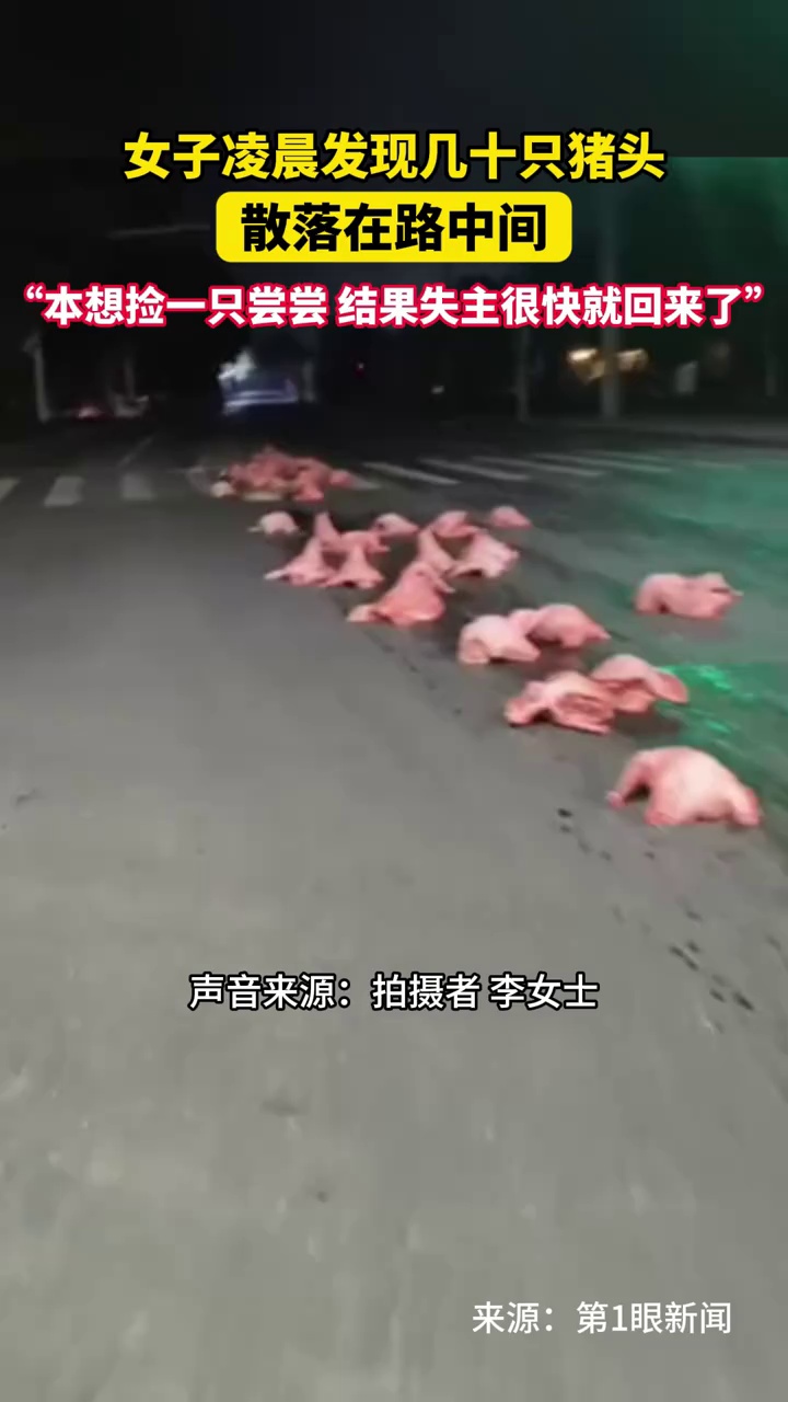 女子凌晨发现几十只猪头散落在路中间，“本想捡一只尝尝，结果失主很快就回来了”