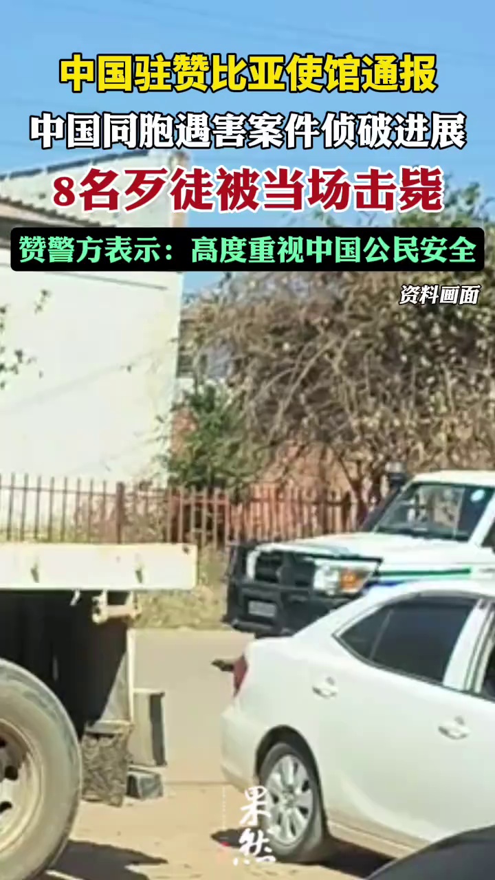 8人当场被击毙！中国驻赞比亚使馆通报（长安街知事）