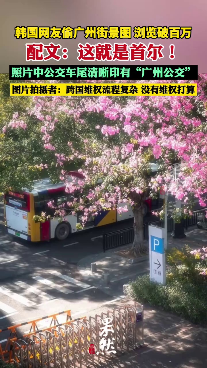 韩国网友偷广州街景图，配文：这就是首尔！浏览破百万，照片中公交车尾清晰印有“广州公交”
