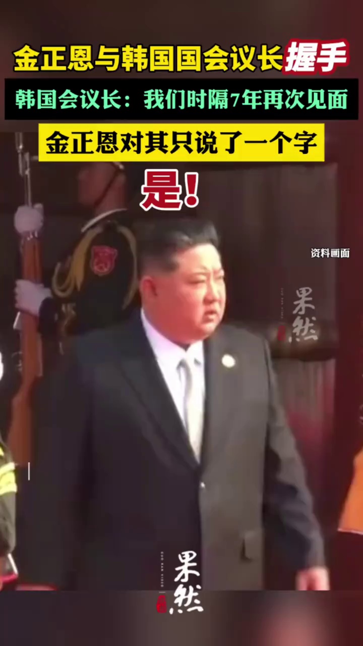 金正恩对韩国会议长只说了一个字（中新网）