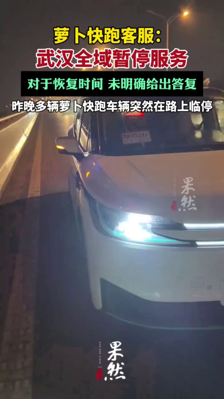 萝卜快跑客服：武汉全域暂停服务