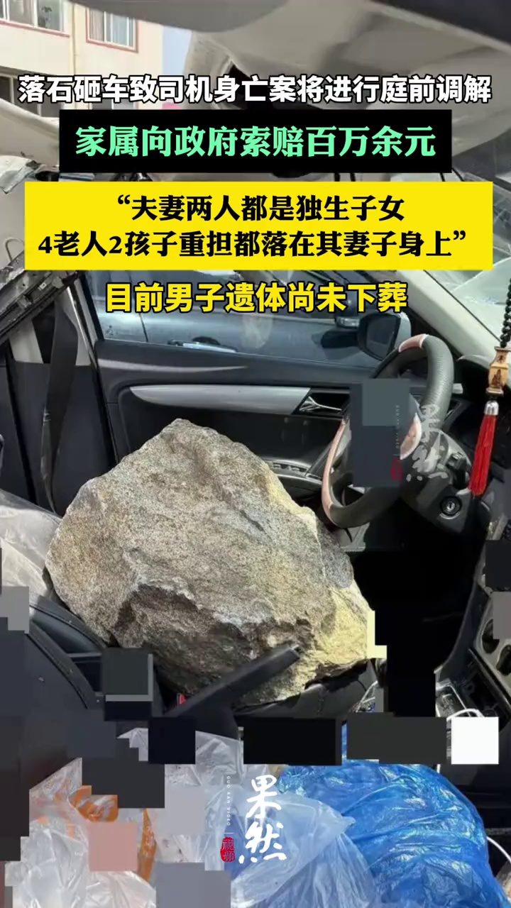 洛阳落石砸车致司机身亡案将进行庭前调解：家属向政府索赔百万余元（极目新闻）